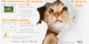 Благотворительный мастер-класс по программированию в Scratch