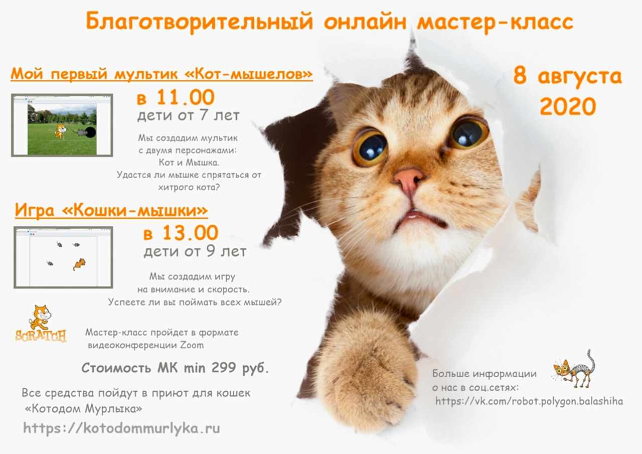 Благотворительный мастер-класс Робоцентра Полигон по программированию в Scratch