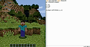 Курс" Основы программирования Python с Minecraft"